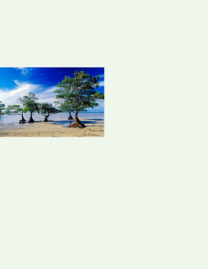 690509_0038.png