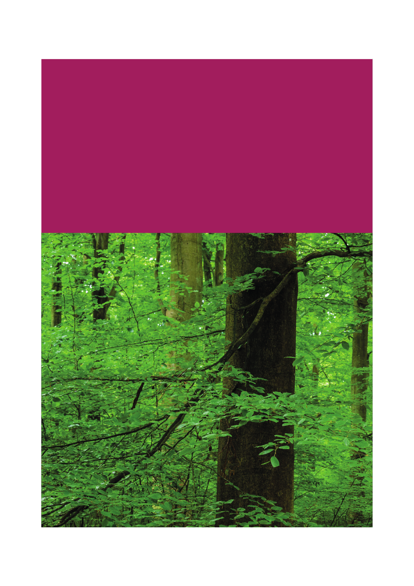 1275338_0096.png