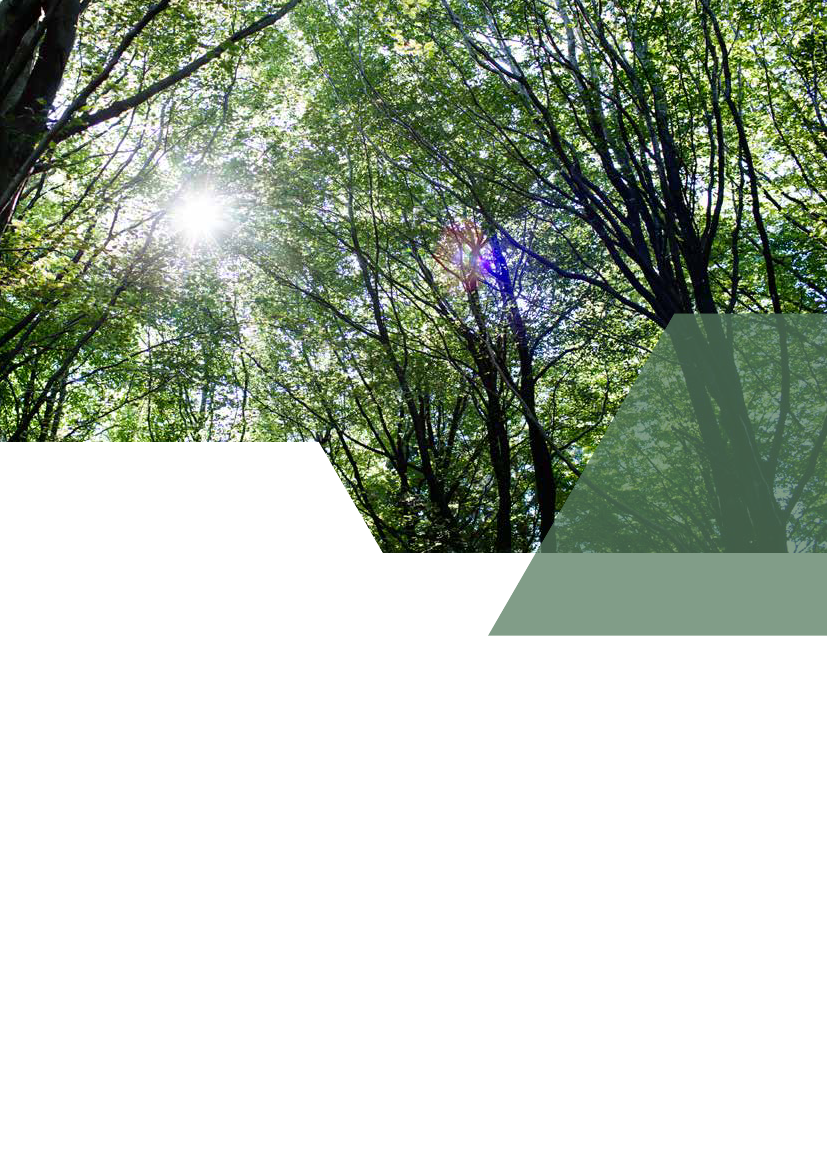 1295010_0031.png