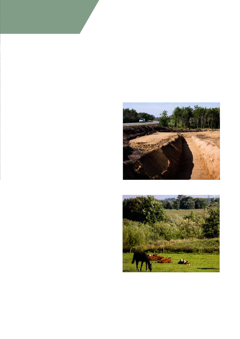 1295010_0039.png