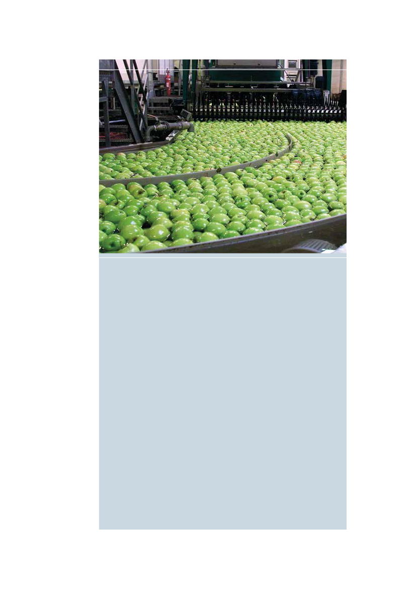 1313754_0013.png