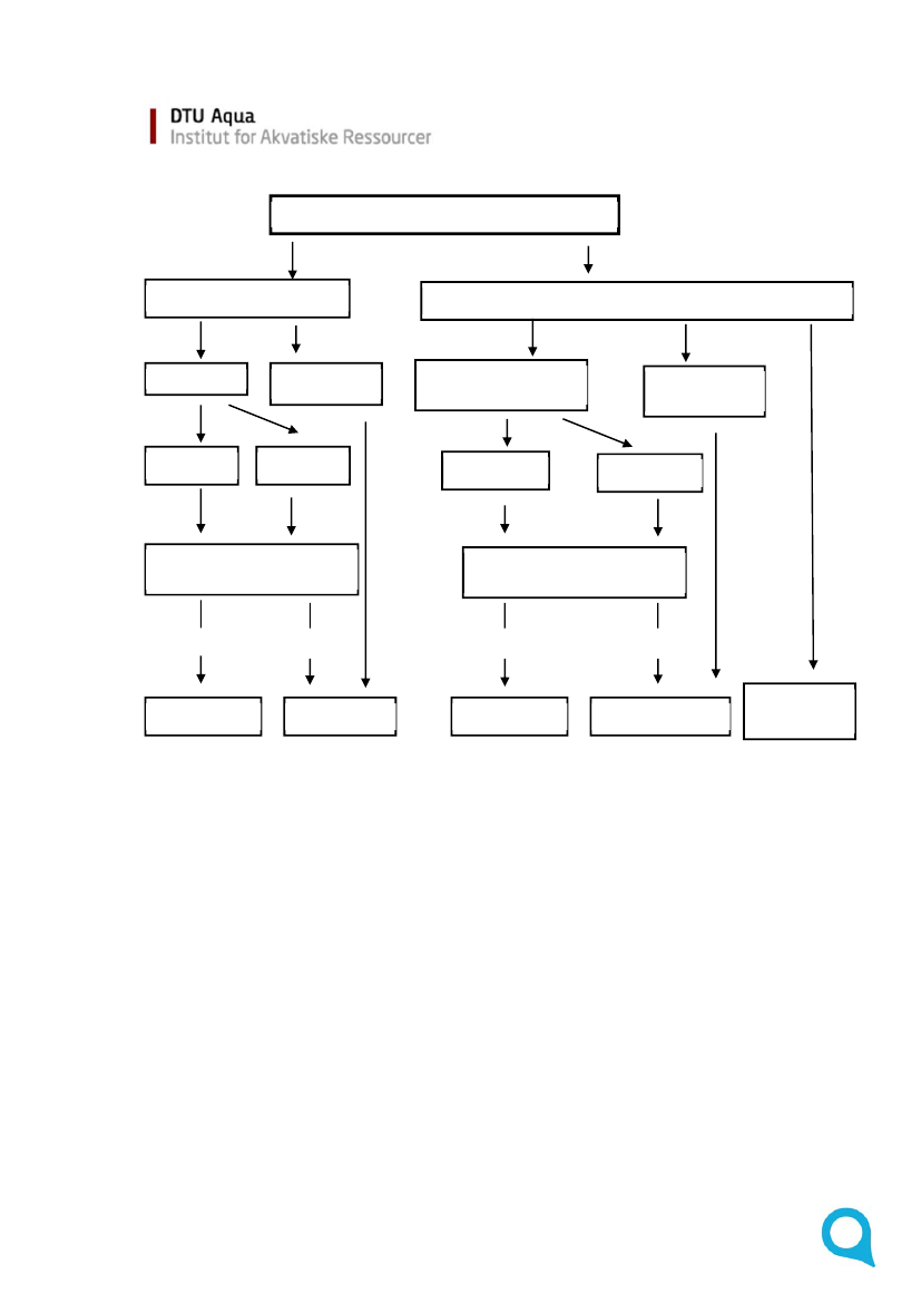 1319872_0025.png
