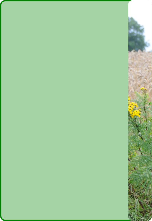 1335962_0001.png