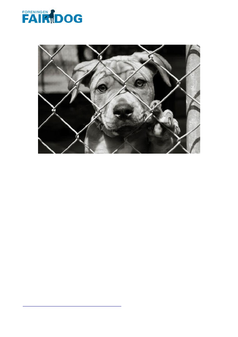 1359918_0001.png