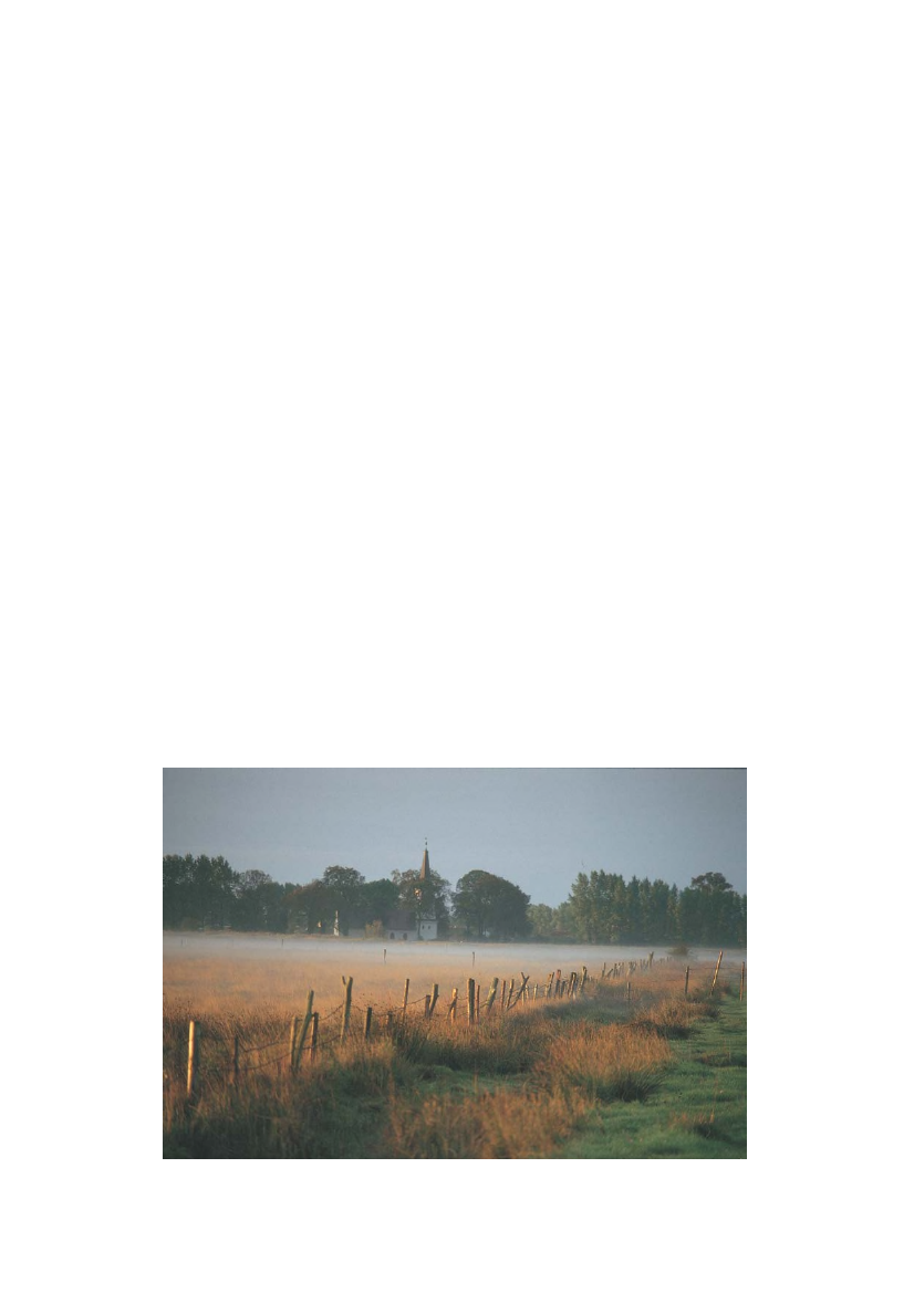 1385875_0021.png