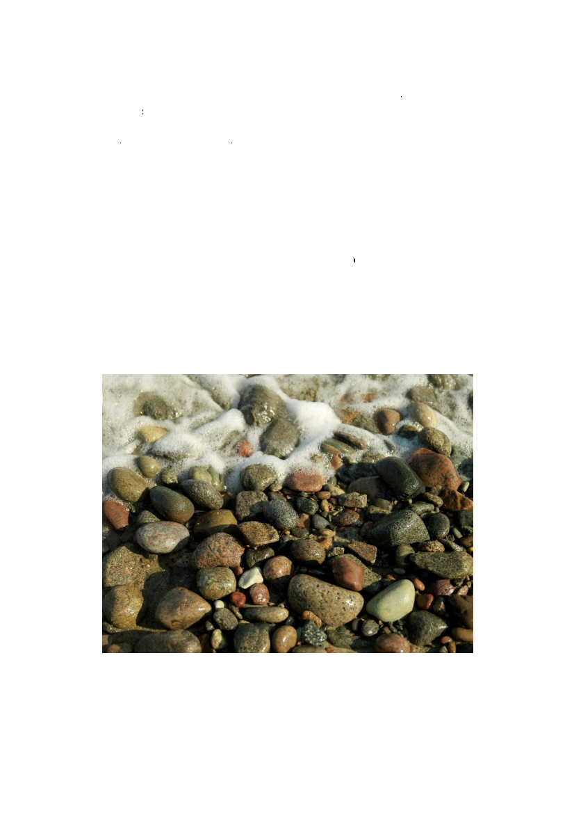 1385875_0031.png