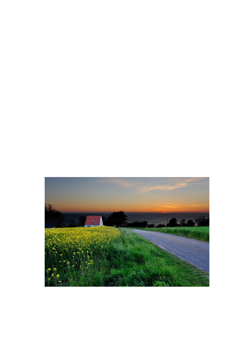 1385875_0040.png