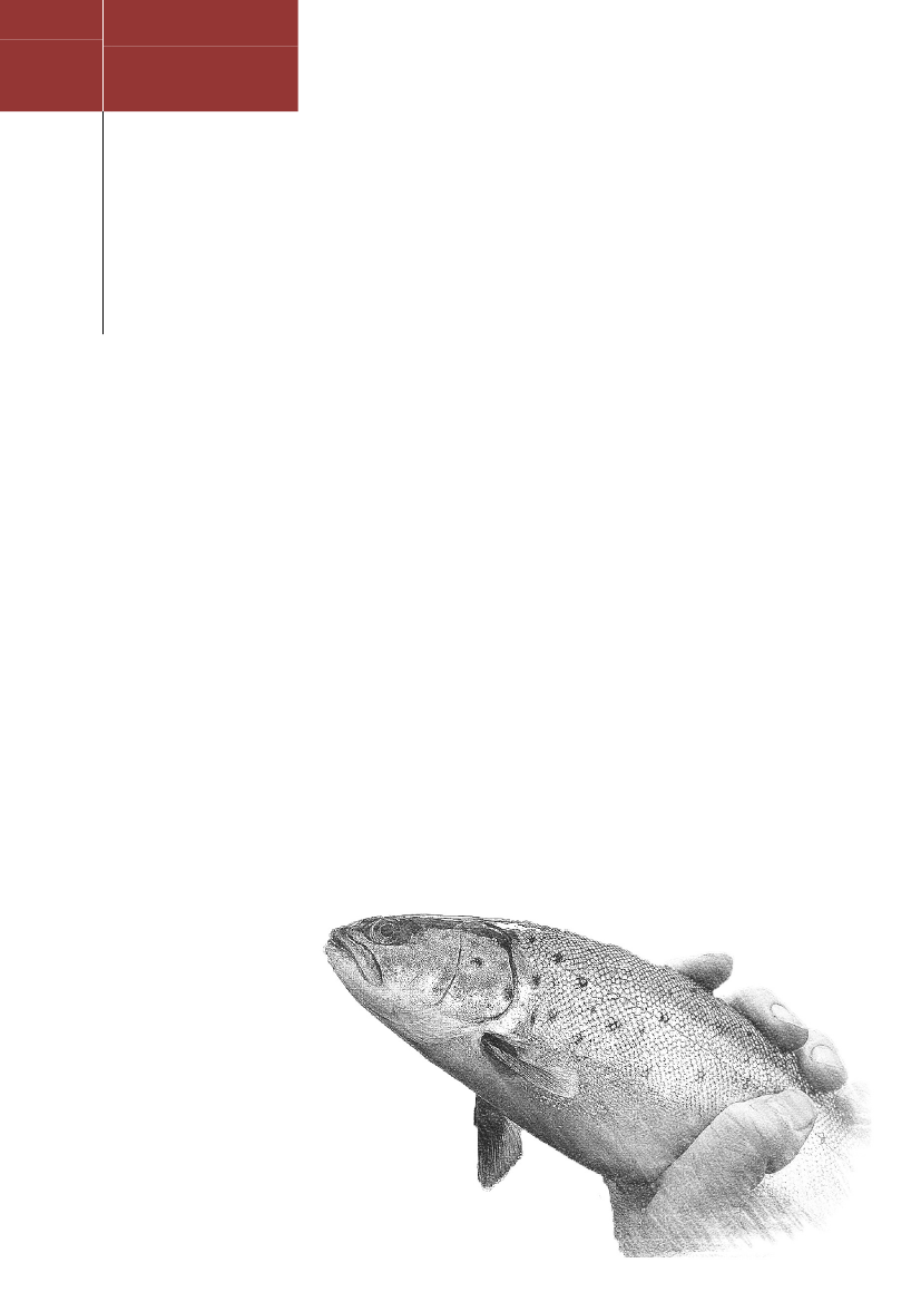 1402638_0001.png