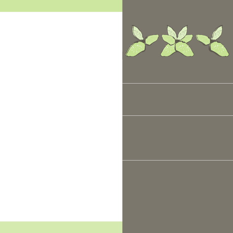 1411117_0004.png