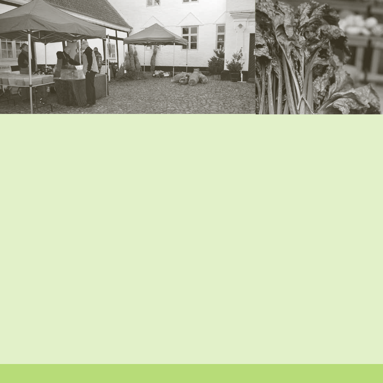 1411117_0030.png