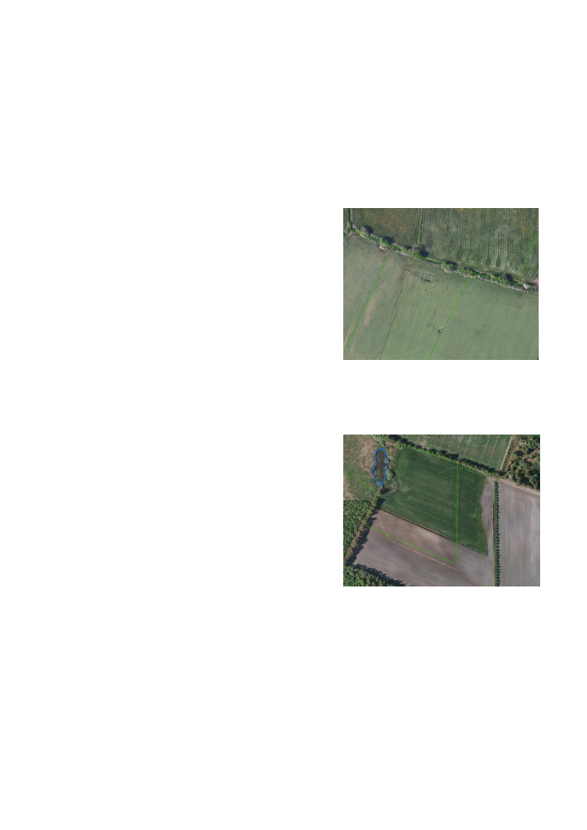 1497242_0004.png