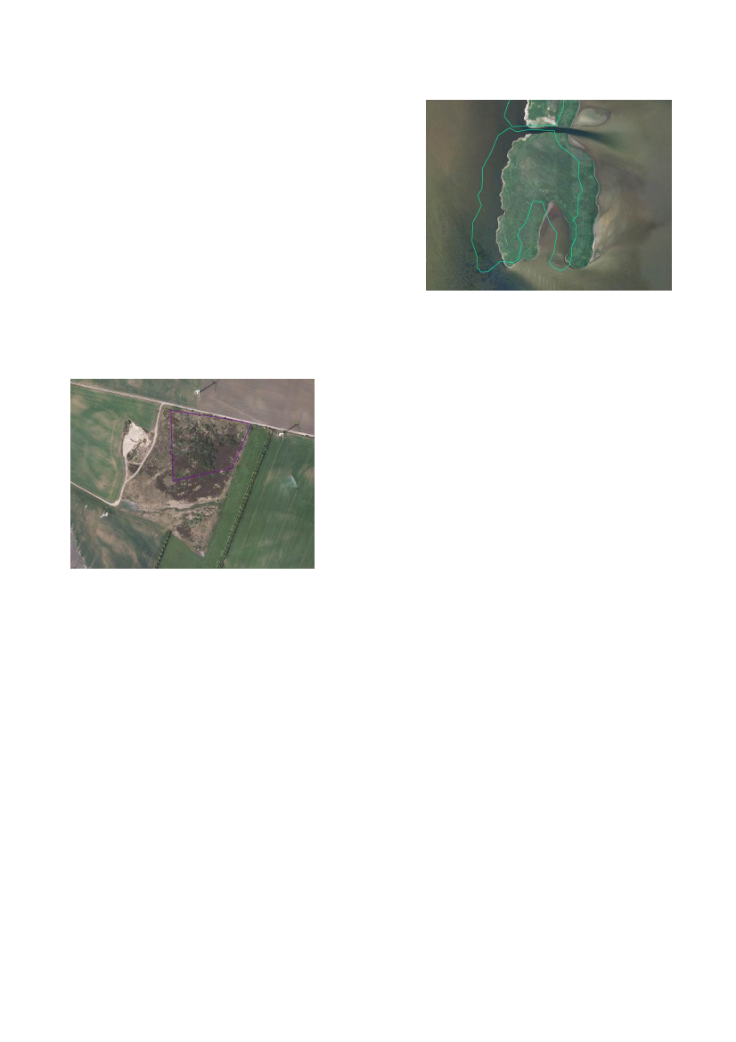 1497242_0009.png