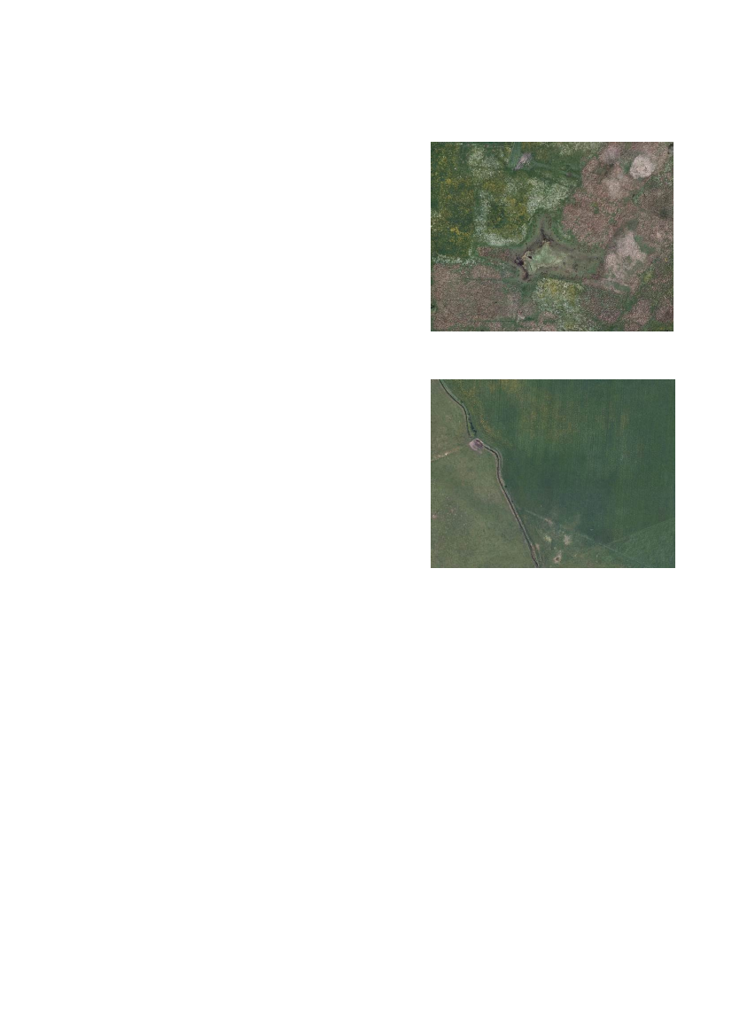 1497242_0014.png