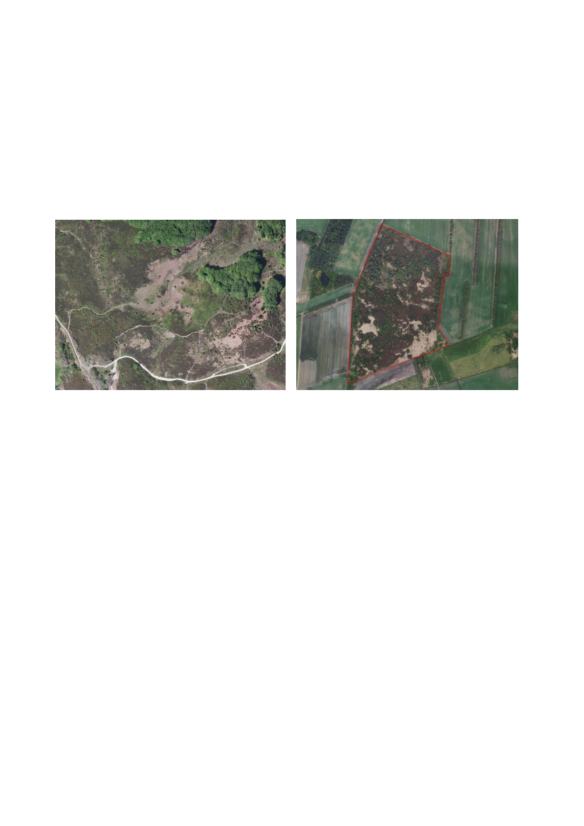 1497242_0017.png