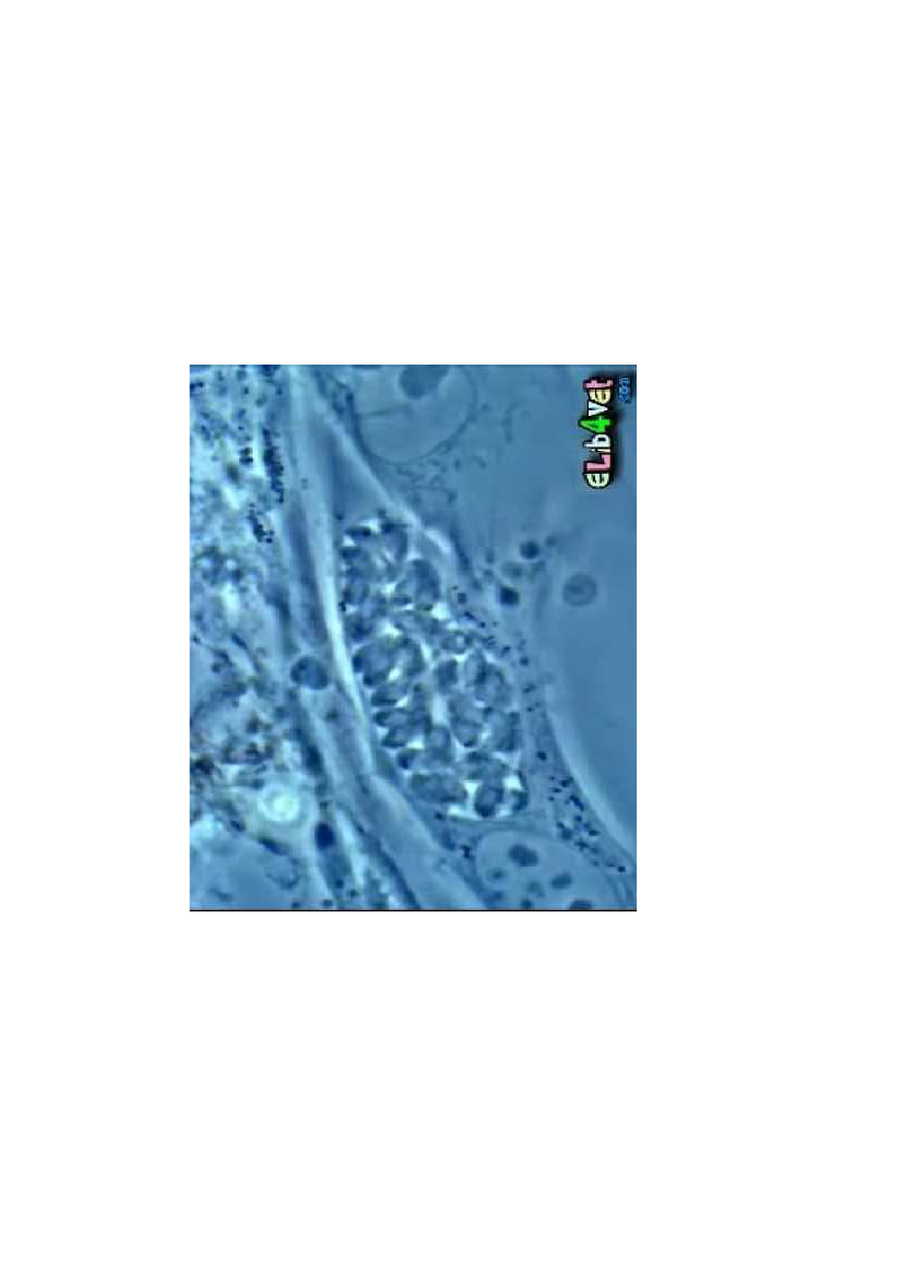 1512895_0017.png