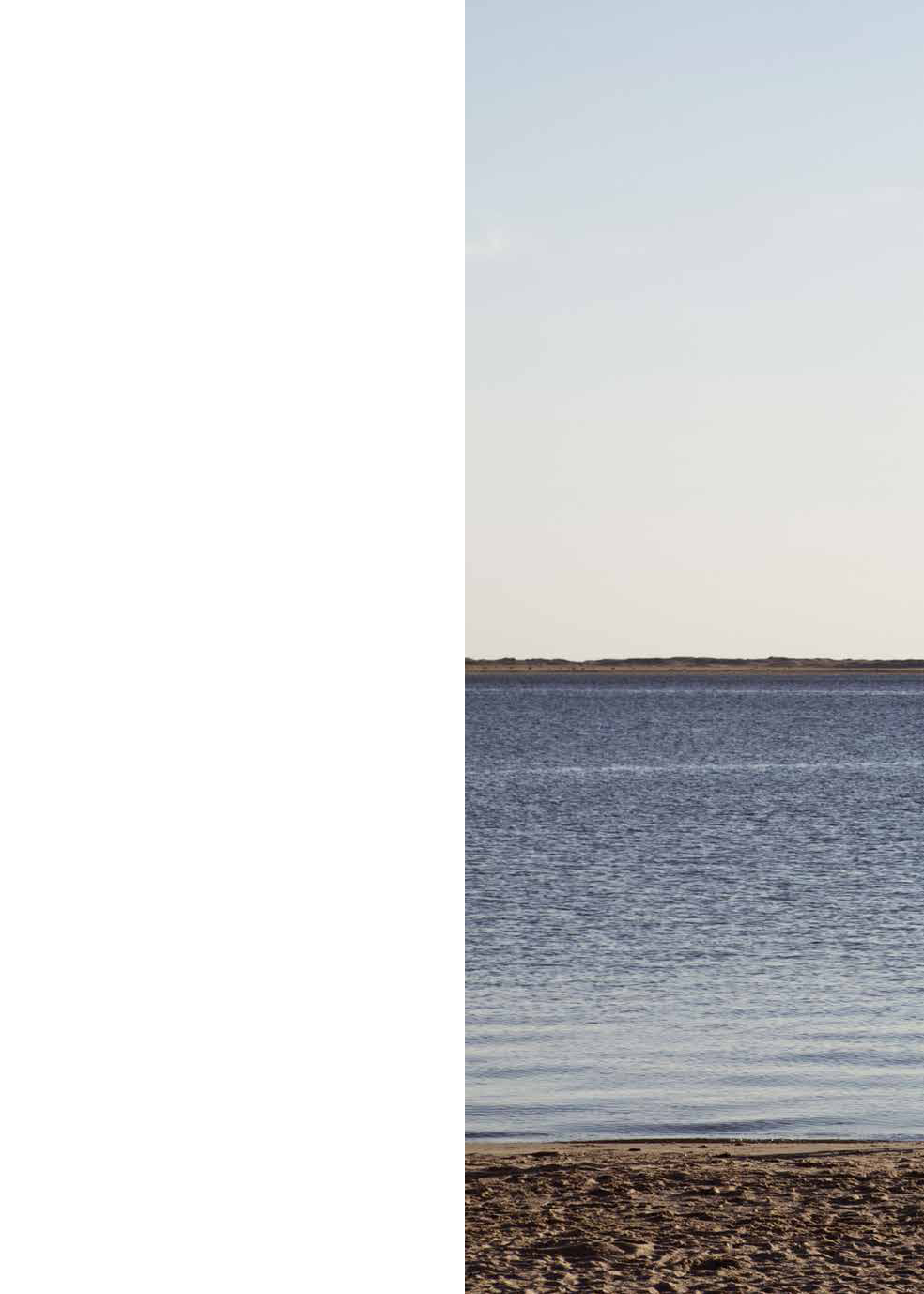 1517283_0017.png
