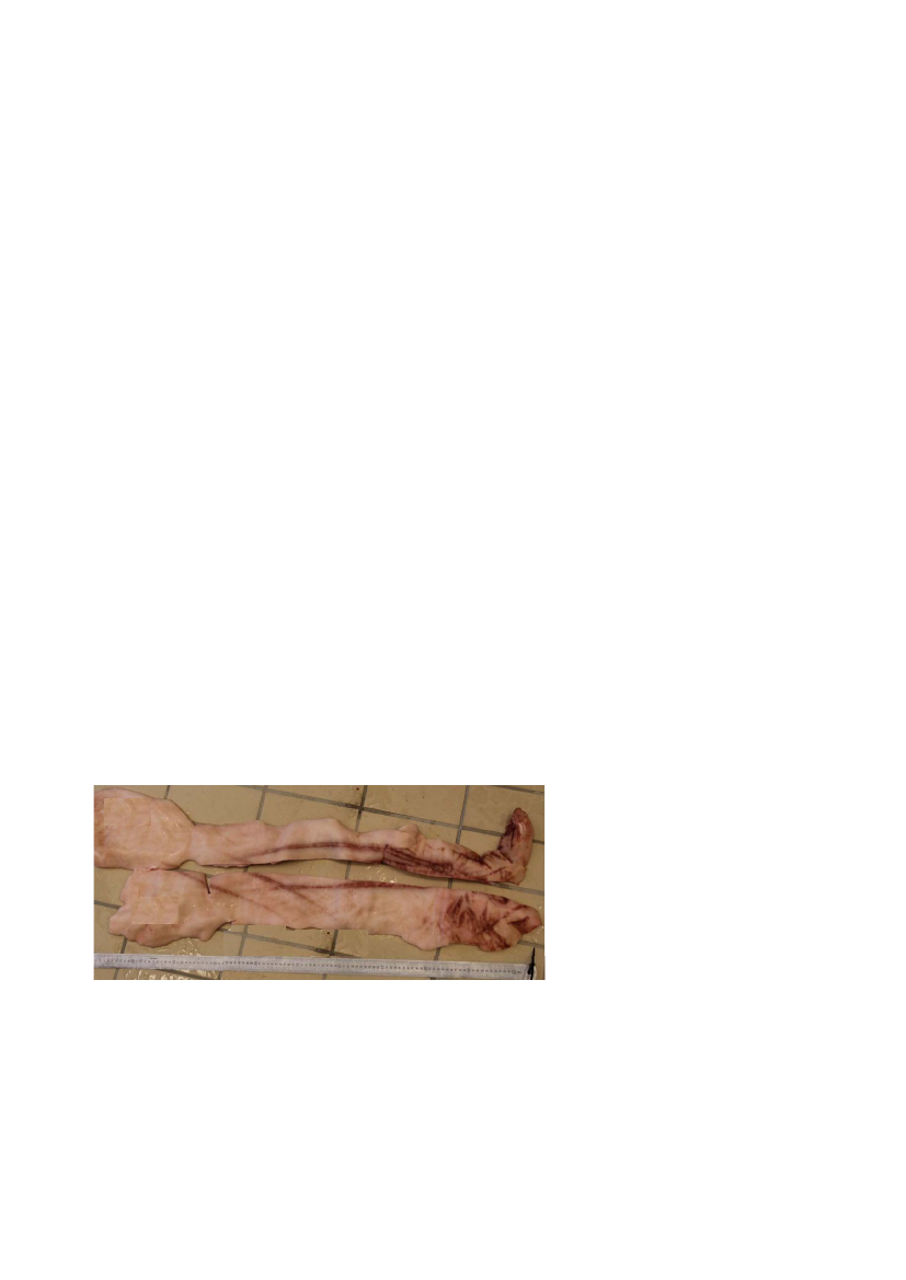 1522966_0014.png