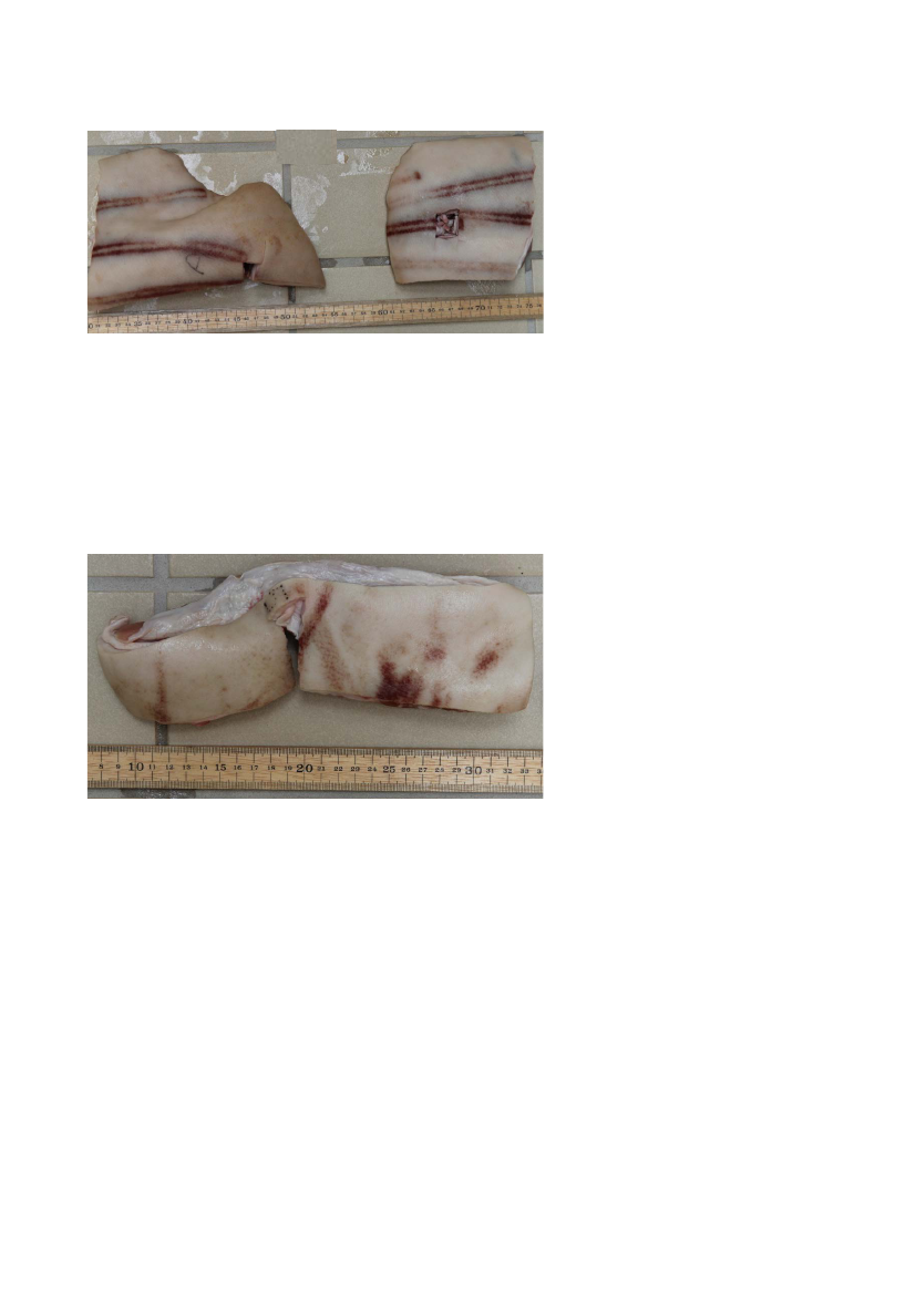 1522966_0016.png
