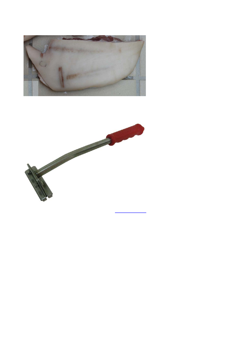 1522966_0017.png