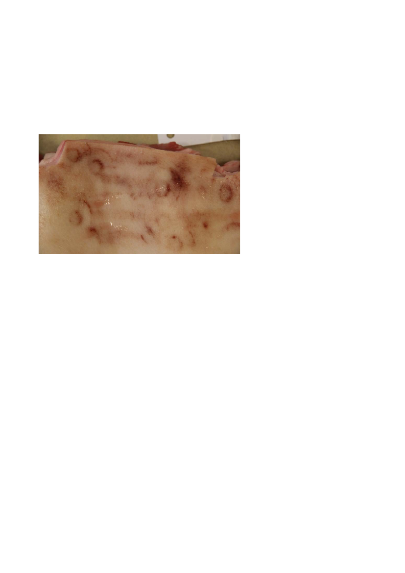 1522966_0019.png