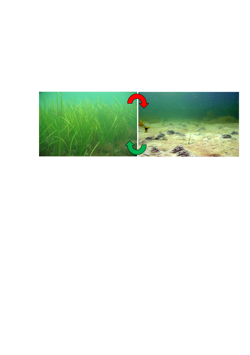 1545918_0010.png