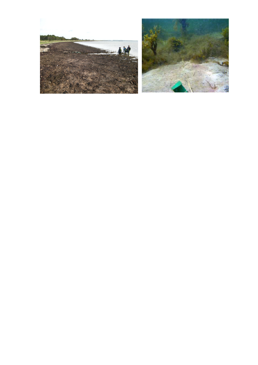 1545918_0024.png
