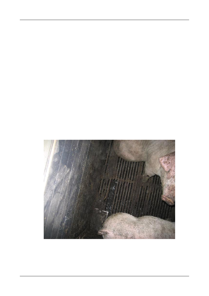 1565293_0013.png