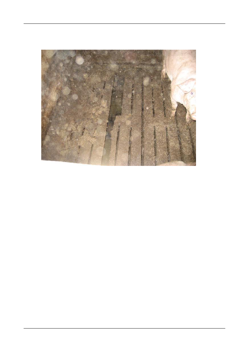 1565293_0014.png