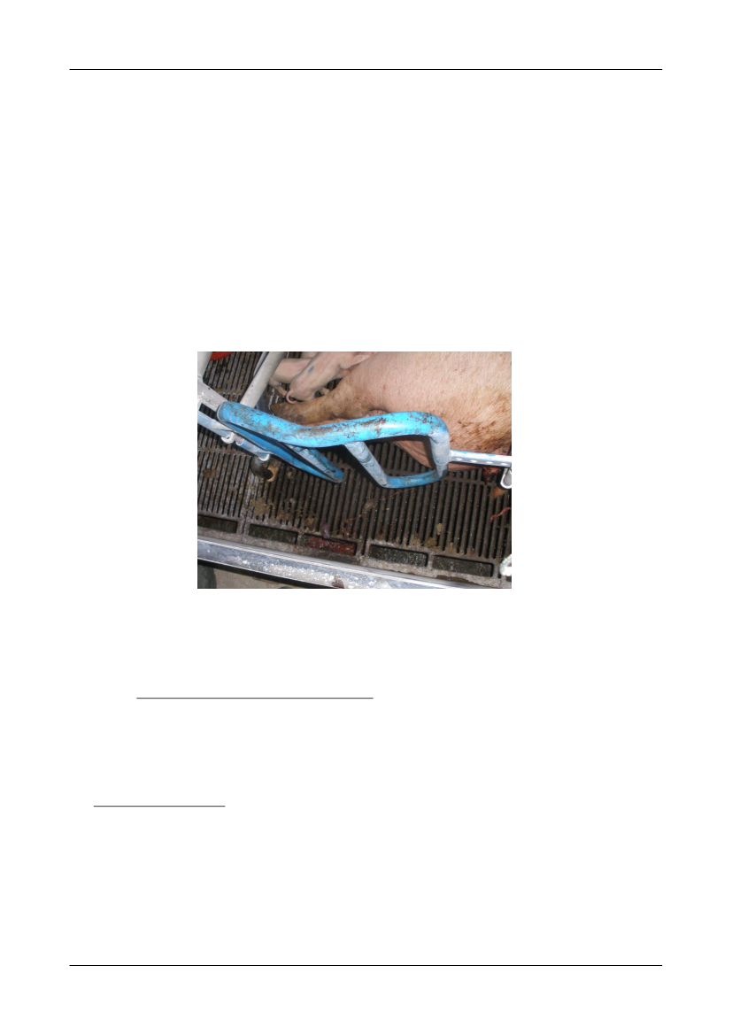 1565293_0028.png