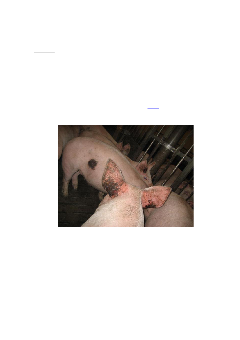 1565293_0041.png