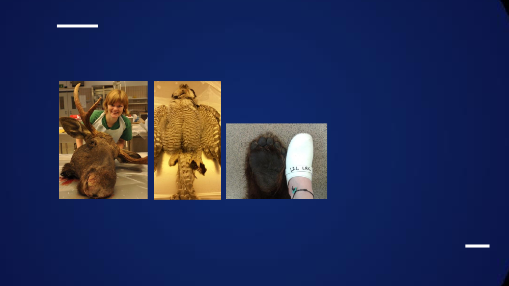 1596430_0001.png