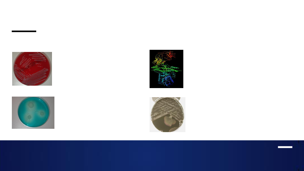 1596430_0004.png