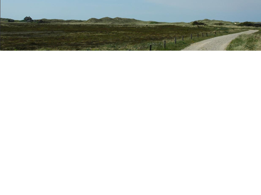 1596705_0001.png