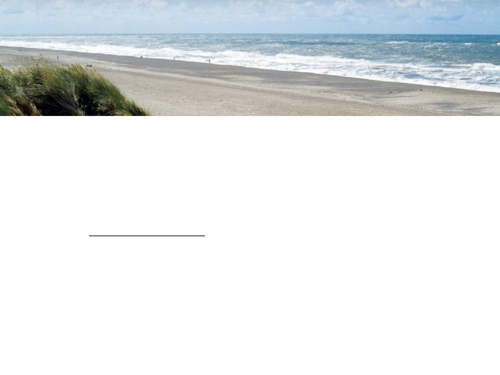 1596705_0010.png