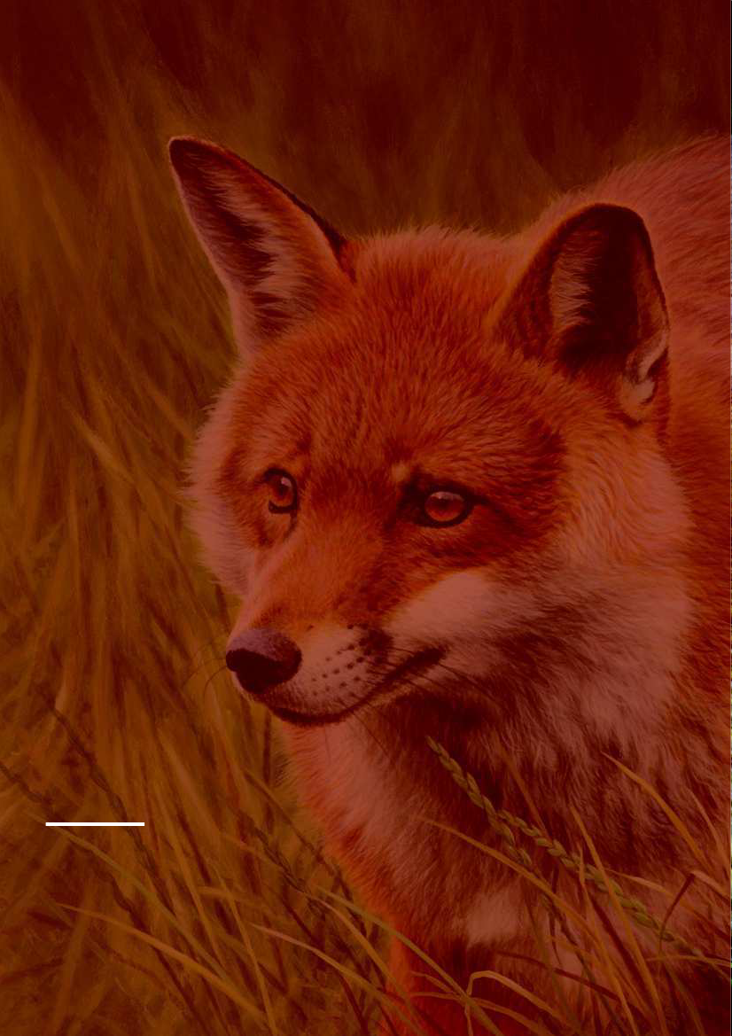 1610678_0096.png