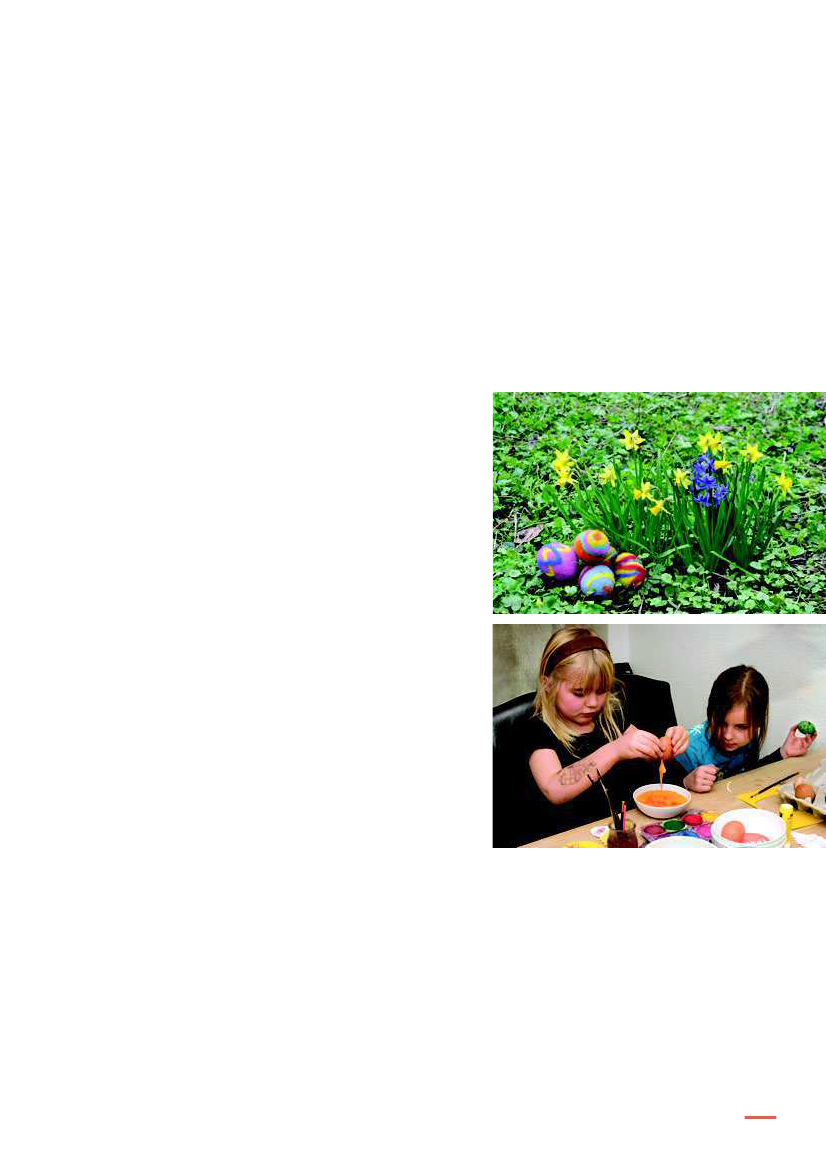 1610678_0115.png