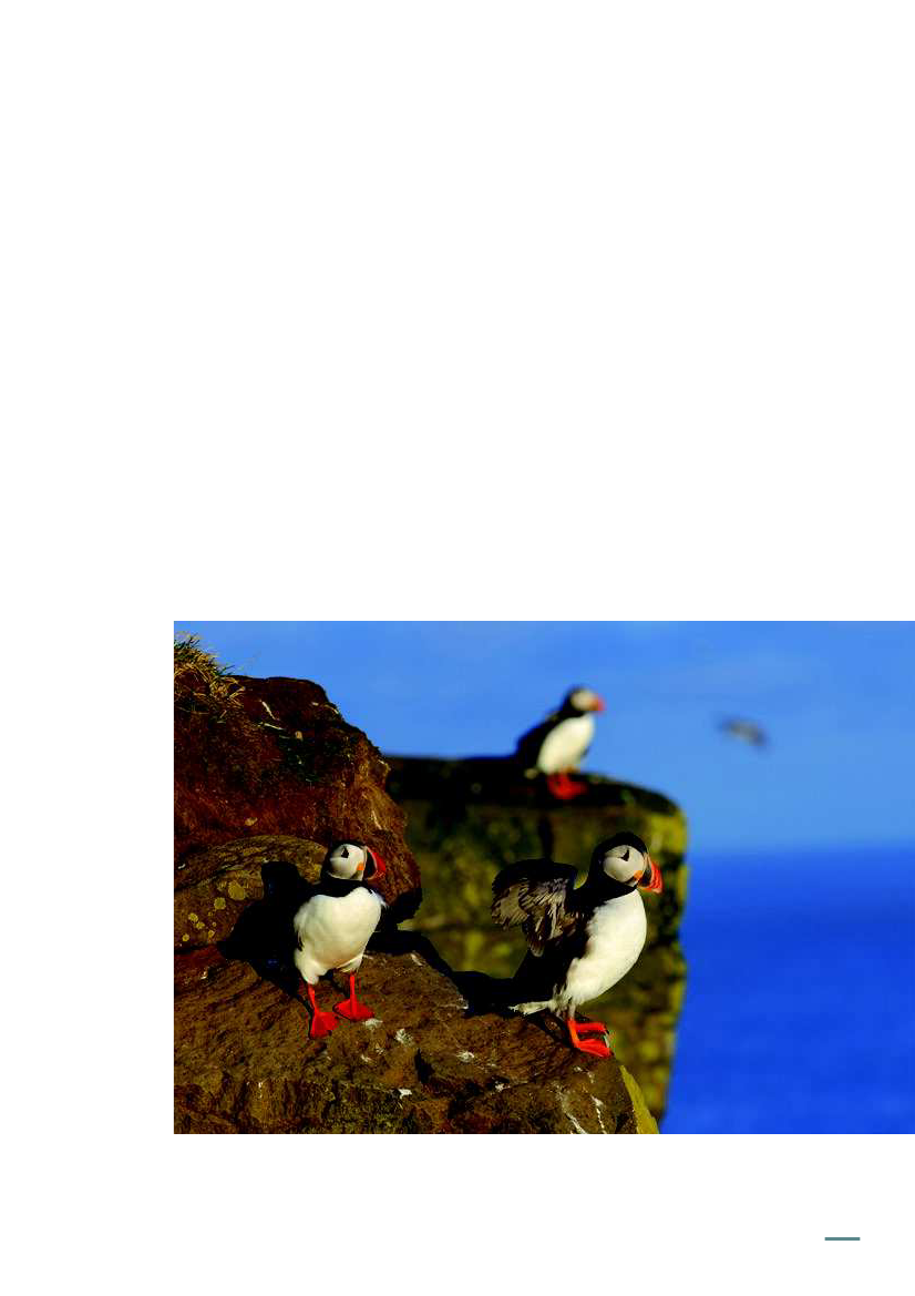 1611311_0063.png