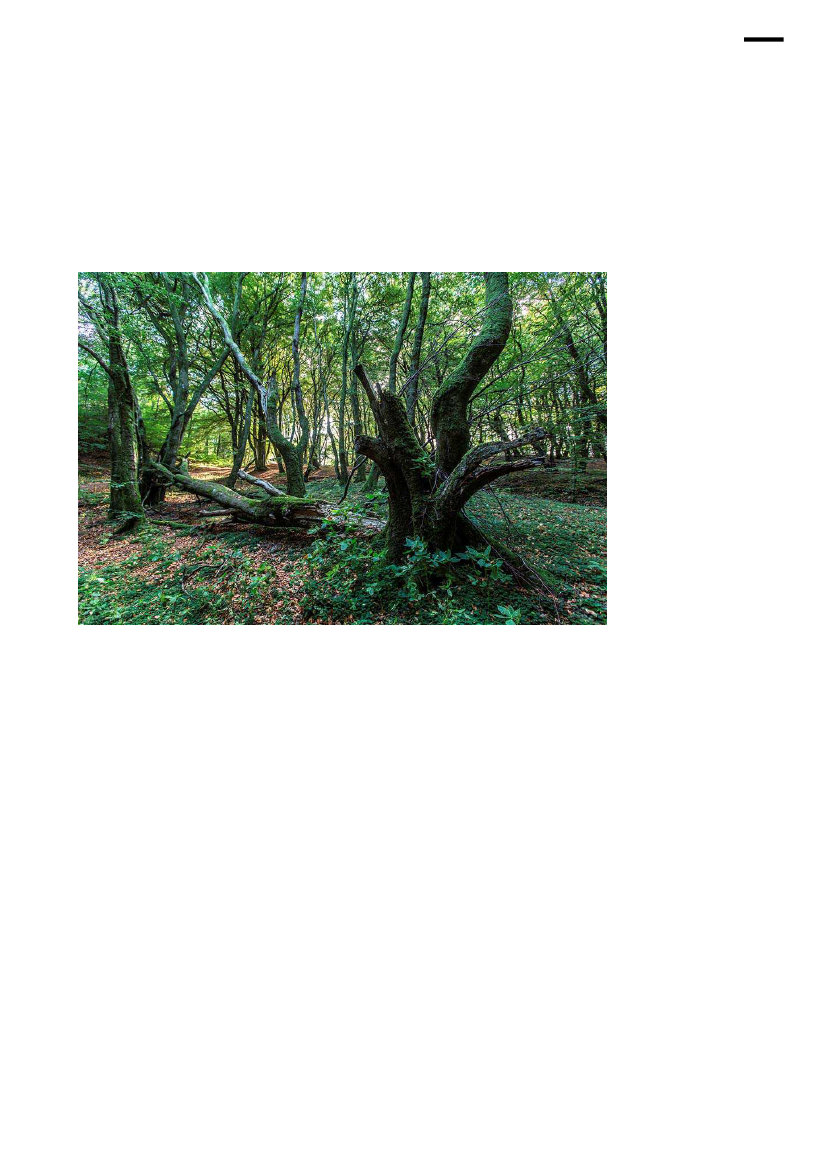 1637990_0011.png