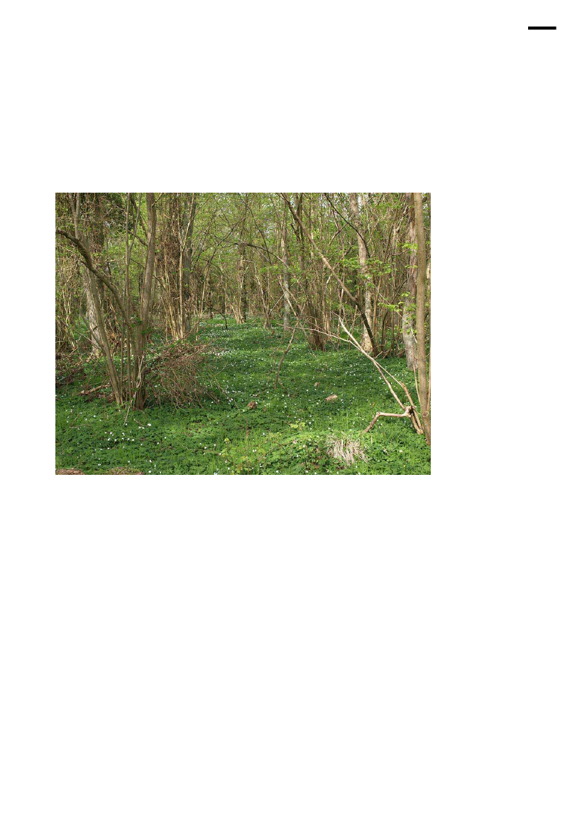 1637990_0021.png