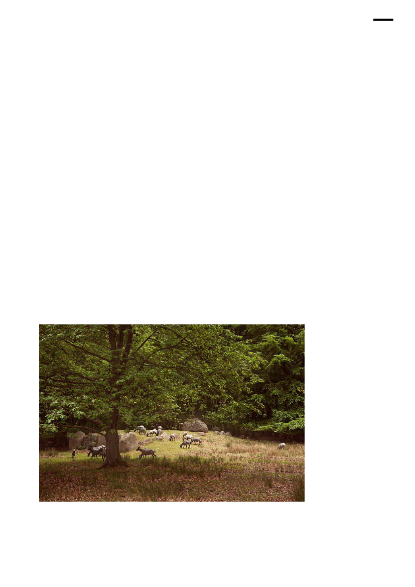 1637990_0025.png