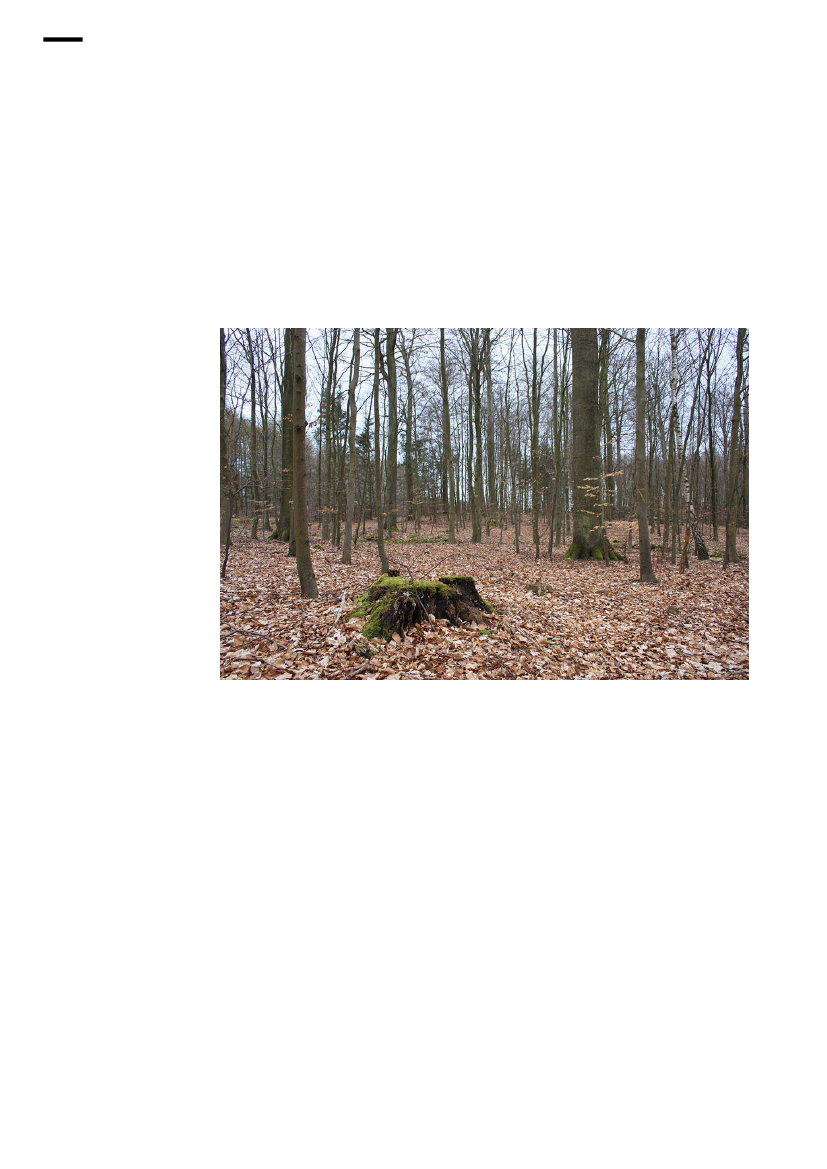 1637990_0028.png