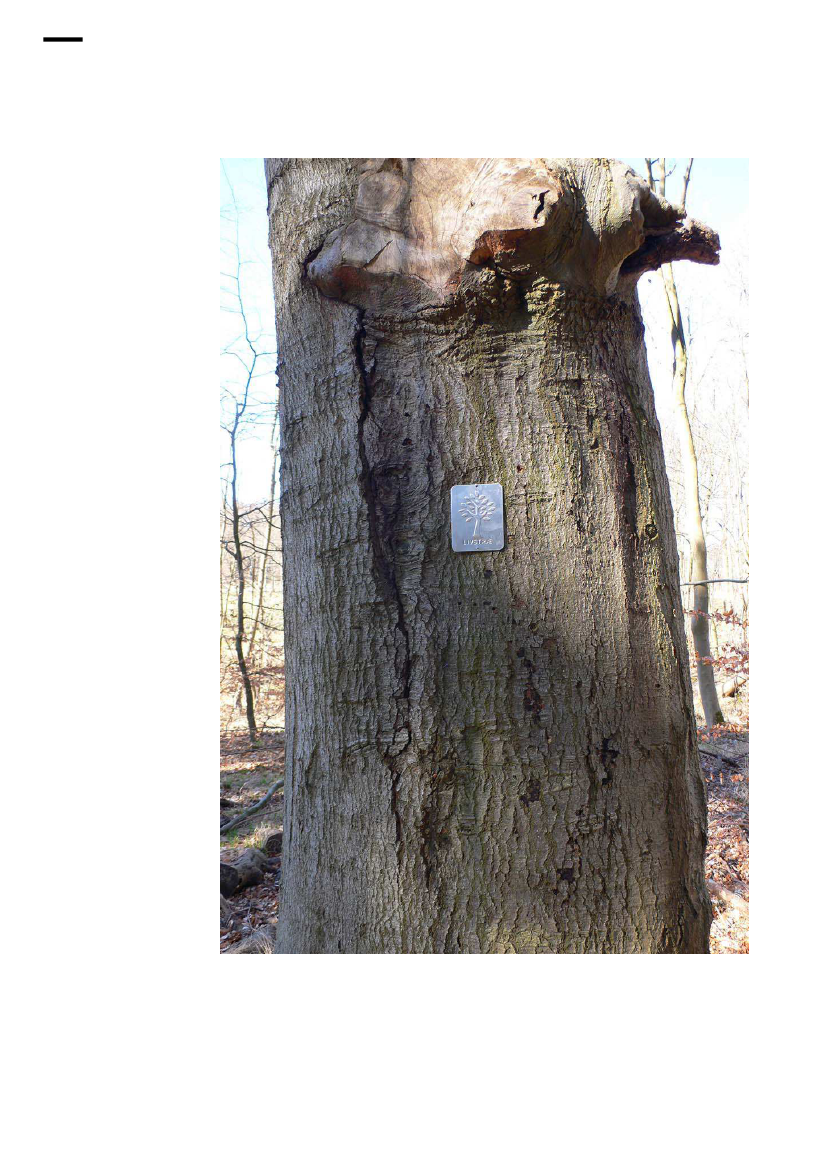 1637990_0040.png