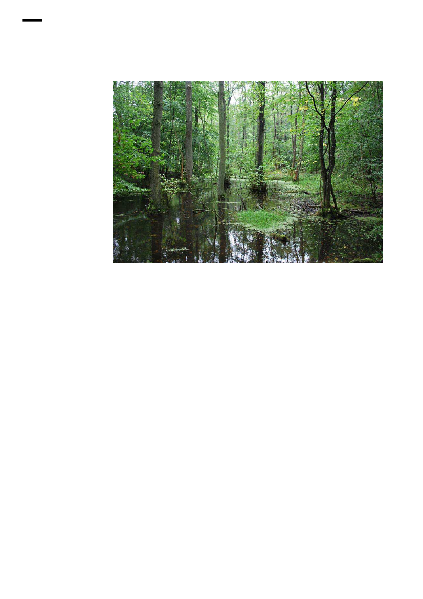 1637990_0044.png