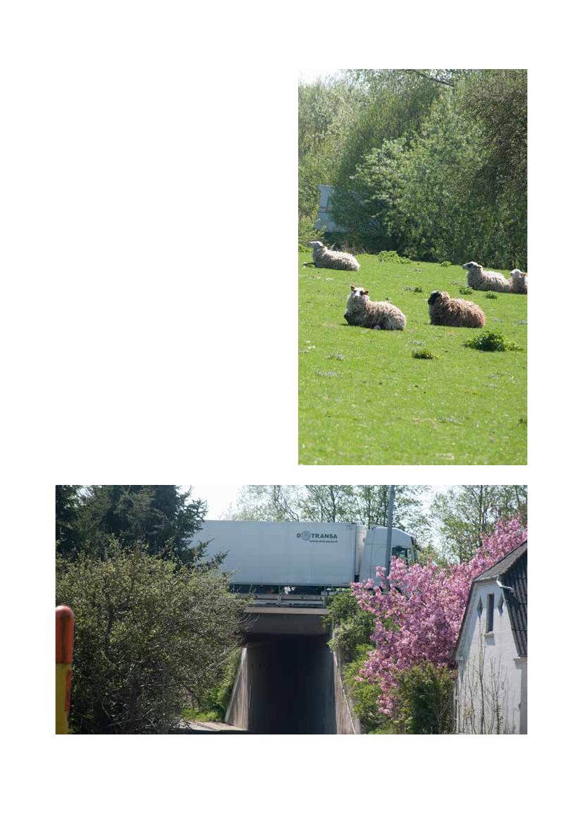 1700825_0042.png