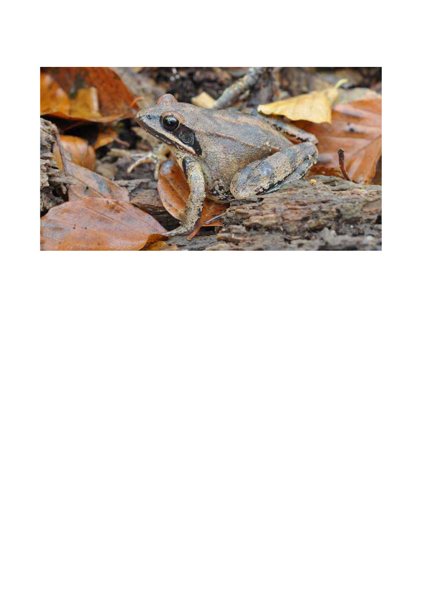 1700825_0063.png