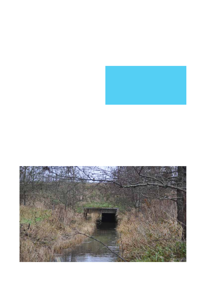 1700825_0068.png