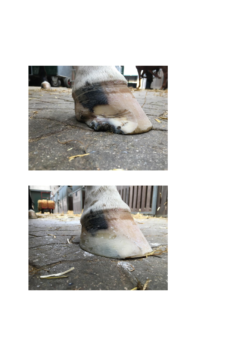 1709010_0008.png