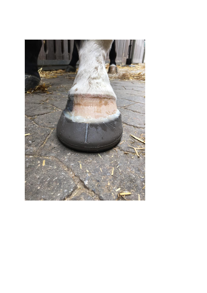 1709010_0009.png