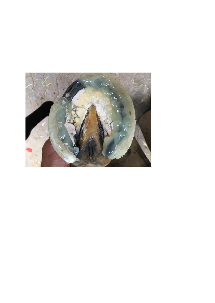 1709010_0010.png