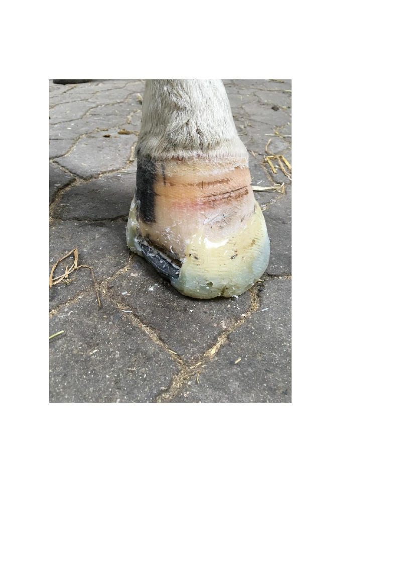 1709010_0011.png